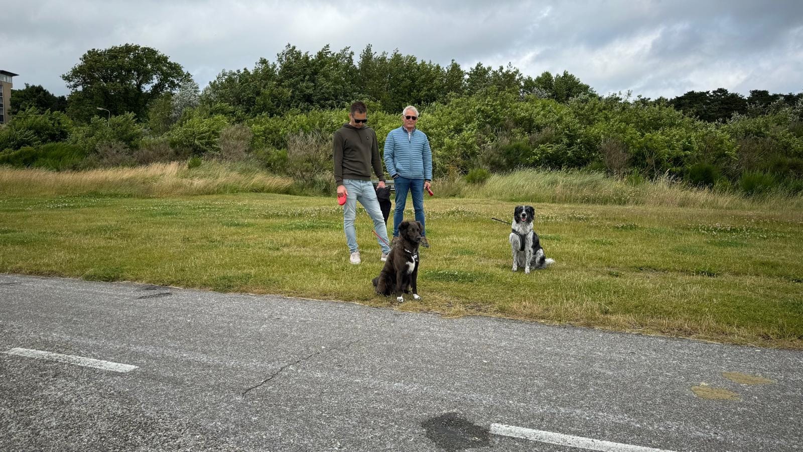 wandelen met de honden